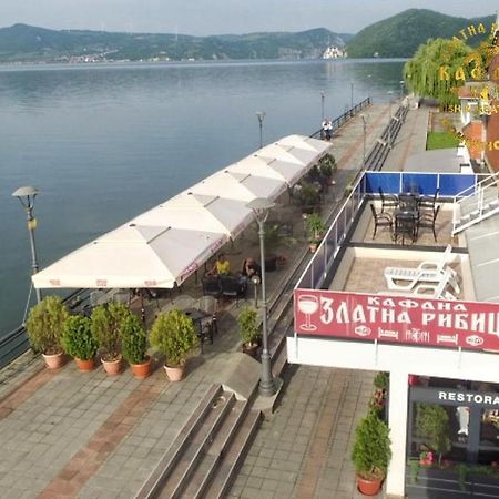 Zlatna Ribica Lägenhet Golubac Exteriör bild