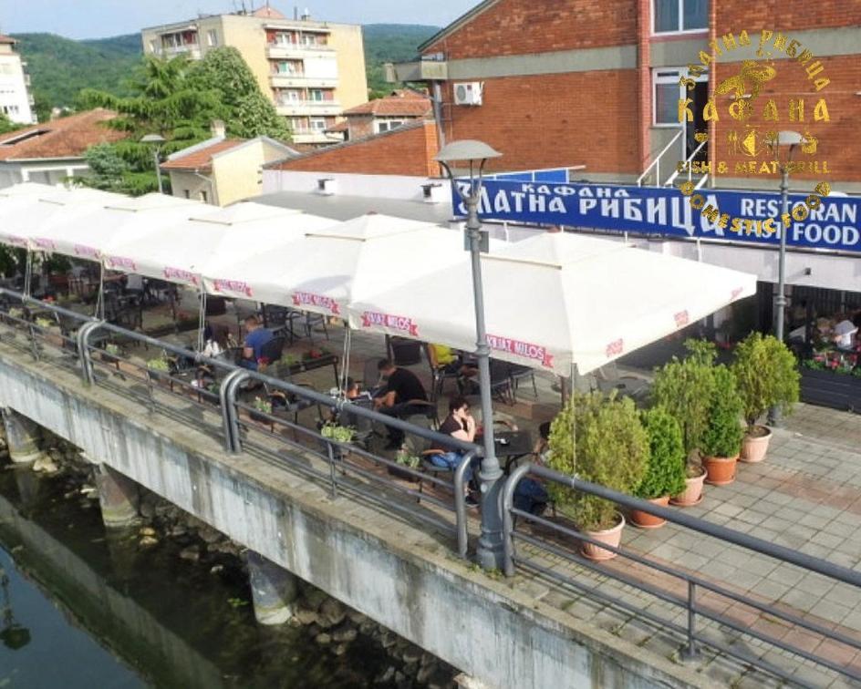 Zlatna Ribica Lägenhet Golubac Exteriör bild