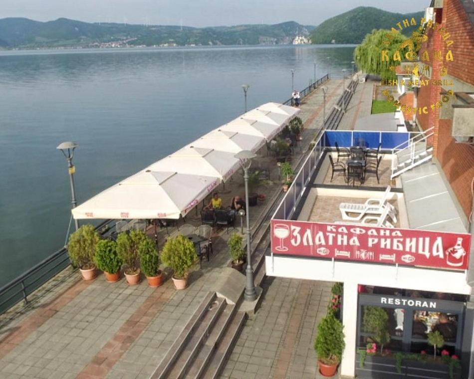 Zlatna Ribica Lägenhet Golubac Exteriör bild