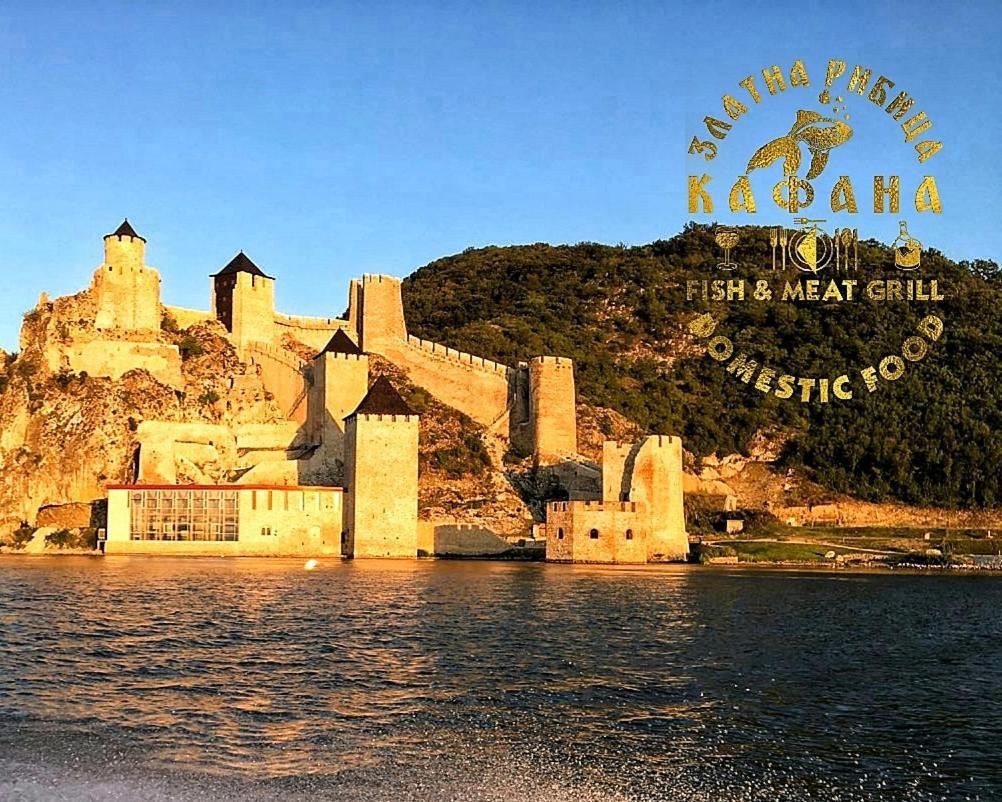 Zlatna Ribica Lägenhet Golubac Exteriör bild