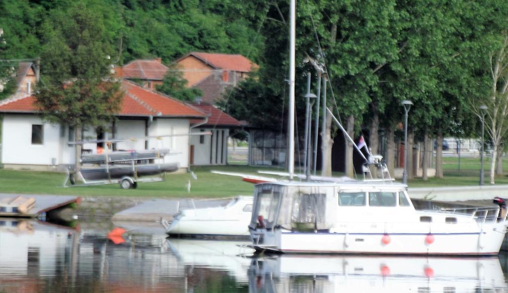 Zlatna Ribica Lägenhet Golubac Exteriör bild