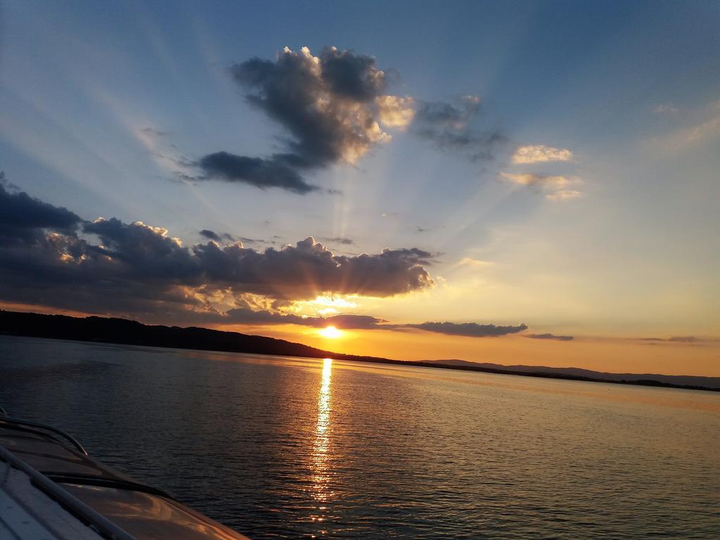 Zlatna Ribica Lägenhet Golubac Exteriör bild