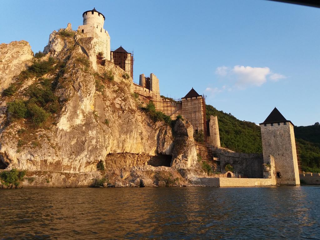 Zlatna Ribica Lägenhet Golubac Exteriör bild