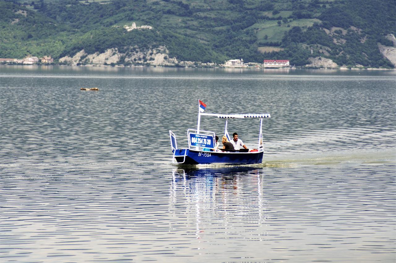 Zlatna Ribica Lägenhet Golubac Exteriör bild